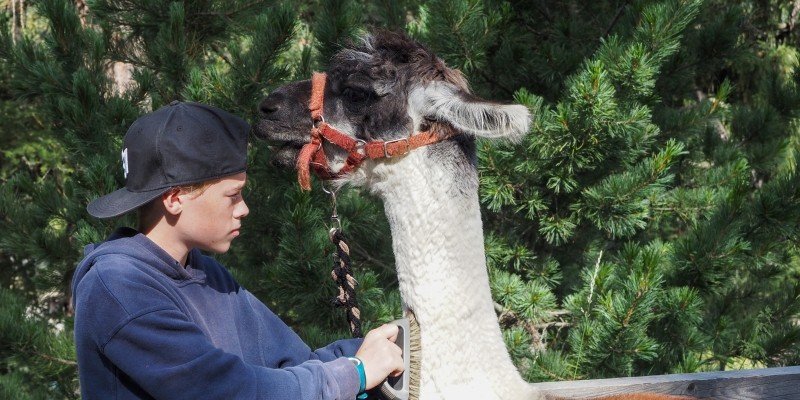 Trekking avec les lamas (c) WWF Schweiz