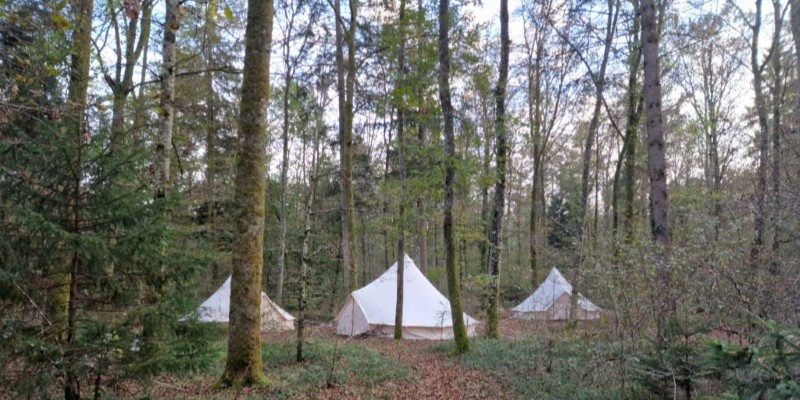 Ranger:innen im Pfynwald (c) Umweltbildner