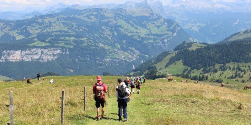 4-Elemente-Lager (c) Megan Wiedenkeller